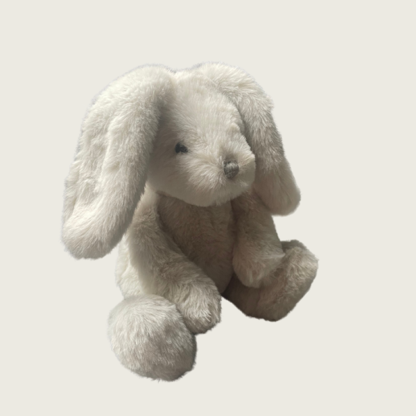 Knuffel konijn Mars en More